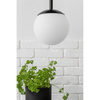 PLAAT A melonowa sufitowa lampa wisząca (PLA153P0) - Ummo