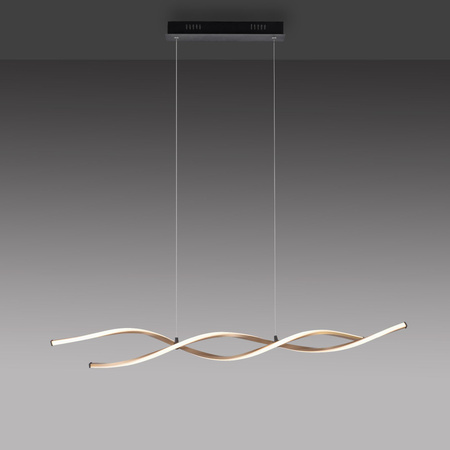 POLIA LAMPA WISZĄCA CZARNY/ZŁOTY (9142-18) - Paul Neuhaus