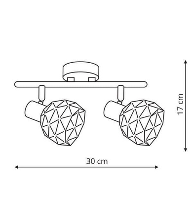Lampa sufitowa Reus 2 (LP-8069/2WS WH) - Light Prestige