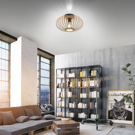 Lampa sufitowa RACOON (11410-79) - Paul Neuhaus