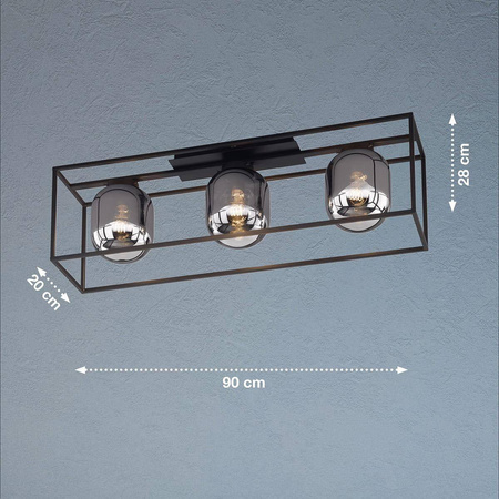 Lampa Sufitowa Regi (20970) - Fischer&Honsel