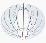 Plafon STELLATO 2 biały (95605 - EGLO)