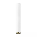 LOYA LAMPA SUFITOWA (C0461-01C-A0SB) - Zuma Line