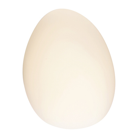 LED WALL LAMP 5W 3000K GLASS & IRON WHITE (20136 Zambelis) - Zambelis