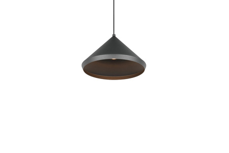Pojedyncza lampa wisząca LAGUNA (336210132) - Trio