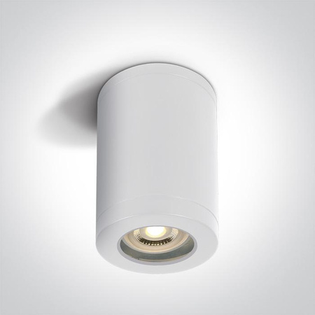 NOTA lampa sufitowa biały (67142A/W) - One Light