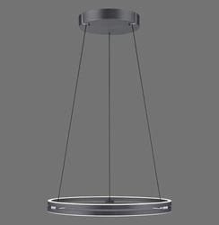 PURE E-LOOP LAMPA WISZĄCA SZARY (2551-15) - Paul Neuhaus