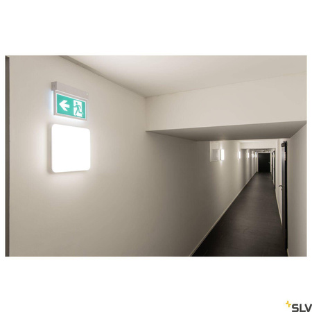 SIMA SENSOR, wewnętrzna oprawa ścienna i sufitowa natynkowa LED, prostokątna, biała, 3000 K (1005088) - SLV