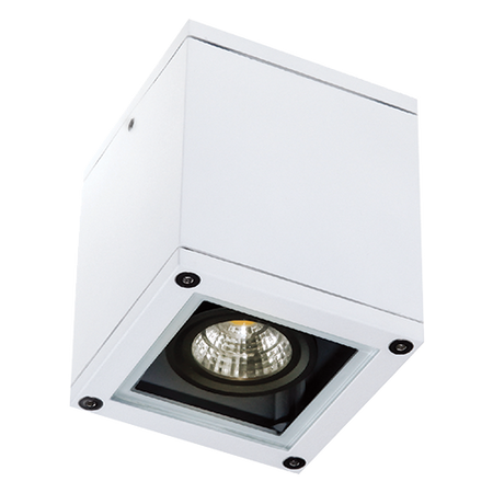 OUTDOOR CEILING LIGHTS 1XGU10 WHITE (E270 Zambelis) - Zambelis
