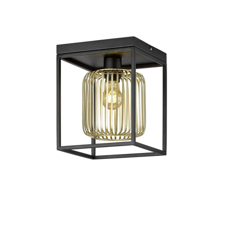 Lampa Sufitowa Caydo  (21294) - Fischer&Honsel