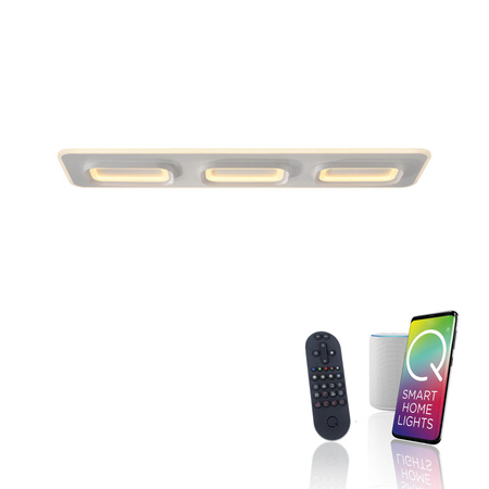 Q-KALINA LAMPA SUFITOWA BIAŁY (6505-16) - Paul Neuhaus