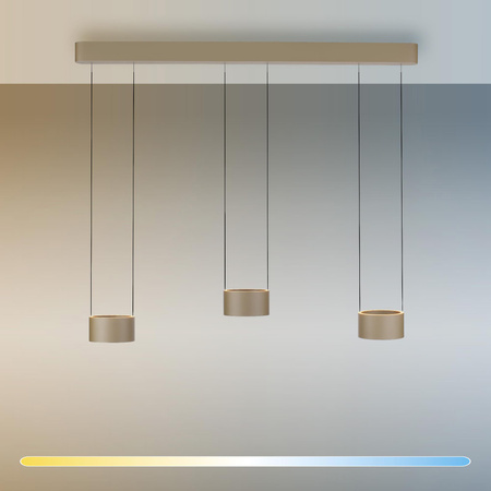 PURE CLIPSE LAMPA WISZĄCA BRĄZOWA (2473-97) - Paul Neuhaus