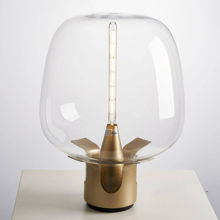 Lampa stołowa FATA transparentno złota 35 *46 cm (ST-7278-S GOLD) - Step into Design
