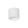 Kendal Oprawa natynkowa 1 x GX53 biała  (LP-6331/1SM L WH) - Light Prestige