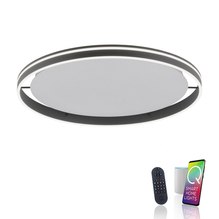 Q-VITO LAMPA SUFITOWA ANTRACYT (8418-13) - Paul Neuhaus