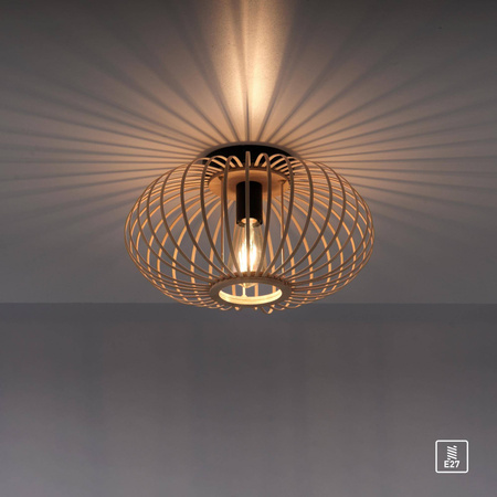 Lampa sufitowa RACOON (11410-79) - Paul Neuhaus