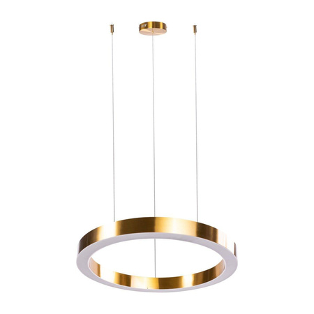 Lampa wisząca CIRCLE 60+60 LED mosiądz na 1 podsufitce (ST-8848-60+60 brass) - Step into Design