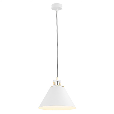 Lampa wisząca 1 pł. ORTE (4914) - Argon