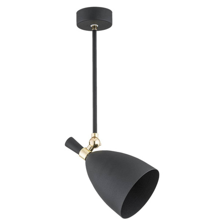 Lampa wisząca 1 pł. CHARLOTTE (4686) - Argon