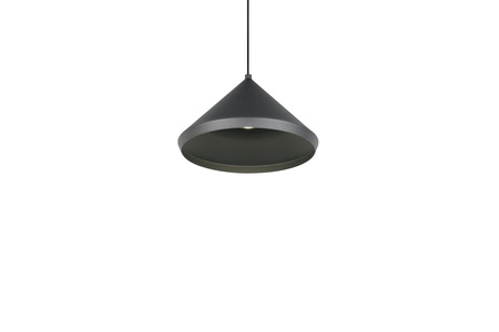 Pojedyncza lampa wisząca LAGUNA (336210132) - Trio