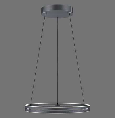 PURE E-LOOP LAMPA WISZĄCA SZARY (2551-15) - Paul Neuhaus