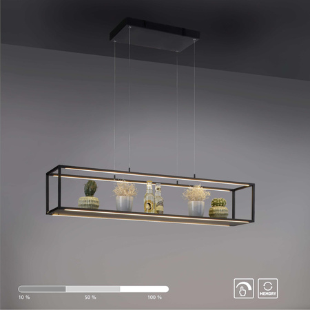CONTURA LAMPA WISZĄCA CZARNY (2441-18) - Paul Neuhaus