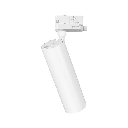 Reflektor Sumba 20W 2700/4000K Biały 3 Obwodowy (ML1110) - Milagro