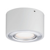 Argun Oprawa sufitowa LED 1x4,8W Biały Matowy / Aluminium Szczotkowane (PL79708) - PAULMANN
