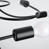 Żyrandol LEVAR 8 czarny (SL.1457) - Sollux Lighting