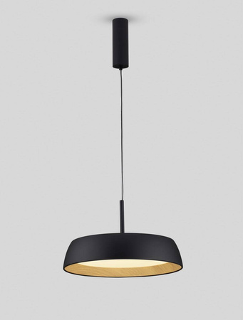 Lampa wisząca wewnętrzna CARACOLLO (LE44810) - Luces Exclusivas