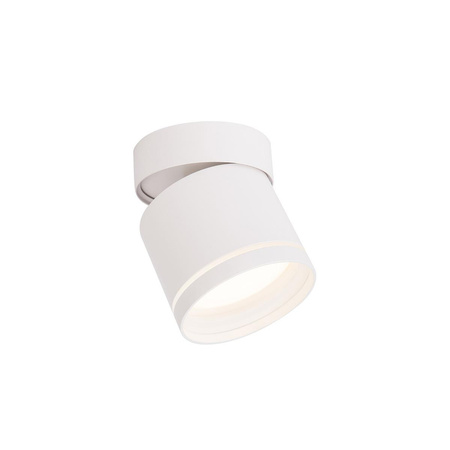 Kendal oprawa natynkowa biała z regulacją kąta świecenia (LP-6331/1SM R1 WH movable) - Light Prestige