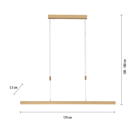 ADRIANA LAMPA WISZĄCA MATOWY MOSIĄDZ (2568-60) - Paul Neuhaus