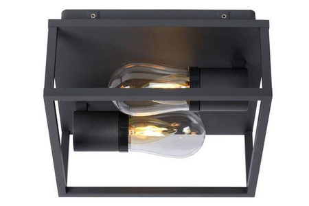 Lampa sufitowa CARLYN (27100/02/30) - Lucide