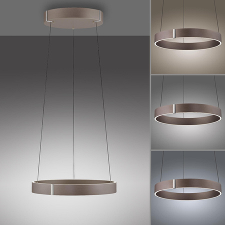 Lampa wisząca z płynną regulacją wysokości PURE E-CLIPSE METALICZNY BRĄZ (2560-34) - Paul Neuhaus