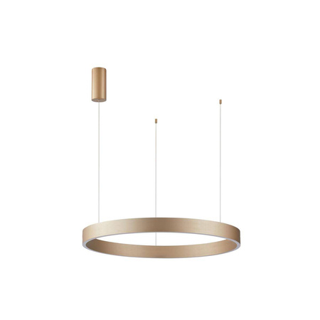 Lampa wisząca Brasco Down (PND-56215-060RPP-GD-3KS4K-TRDIMM) - Italux