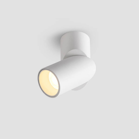 Oprawa nastropowa LED 24W kolor biały WW - Podwójna CRI 90+ (ABIGALI-ONBL12WW-2)