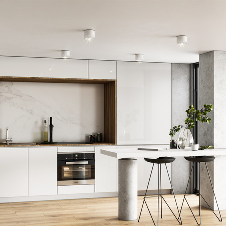 VIVO WHITE GX53 (10595) - TK Lighting