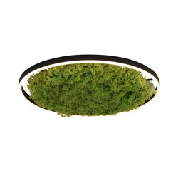 LAMPA SUFITOWA GREEN RITUS (15392-66) - Paul Neuhaus