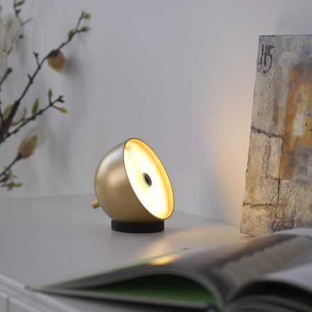 BELLIS LAMPA STOŁOWA ZŁOTA (19244-12) - Paul Neuhaus