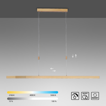 ADRIANA LAMPA WISZĄCA MATOWY MOSIĄDZ (2568-60) - Paul Neuhaus