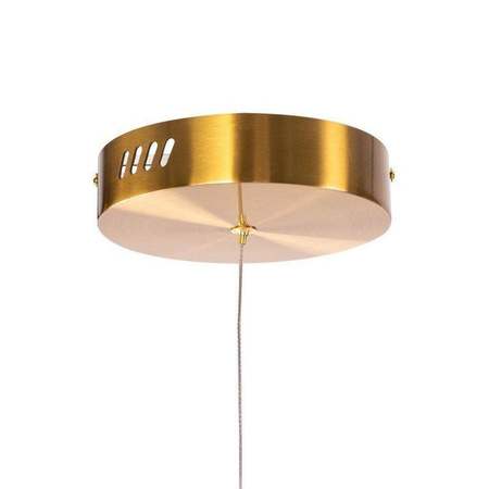 Lampa wisząca CIRCLE 80 LED mosiądz szczotkowany 80 cm (ST-8848-80 brass) - Step into Design