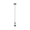 Lampa wisząca Larus (PL79754) - Paulmann