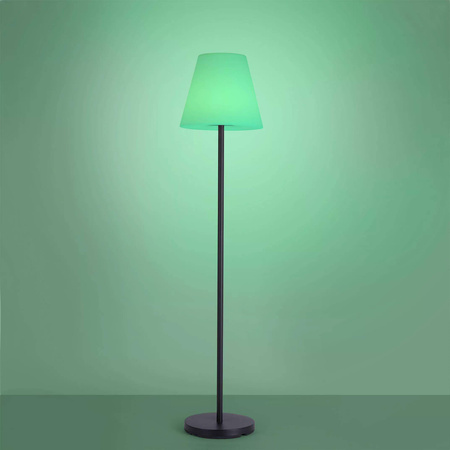 LAMPA PODŁOGOWA HOLLY (19826-18) - Paul Neuhaus