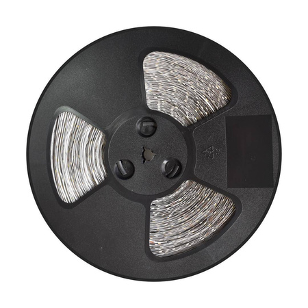 Taśma Led 60/m IP20 6500K (50m) (EKPL627) - Eko-Light