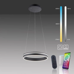Q-VITO LAMPA WISZĄCA ANTRACYT (8410-13) - Paul Neuhaus