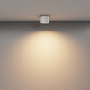Lampa sufitowa Vega (C089CL-8W3K-W) - Maytoni