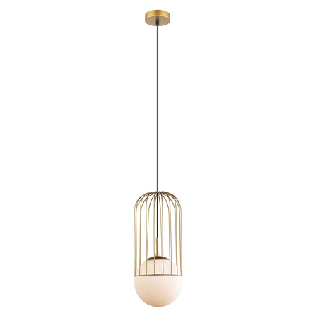 Lampa Wisząca Matty (MDM-3940/1 GD) - Italux