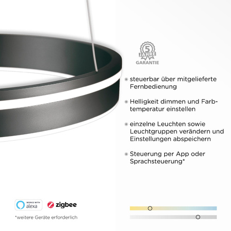 Q-VITO LAMPA WISZĄCA ANTRACYT (8412-13) - Paul Neuhaus