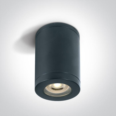 NOTA lampa sufitowa czarny (67142A/B) - One Light
