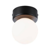 Lampa sufitowa GOVE LED G9 czarny matowy (PL71068) - PAULMANN